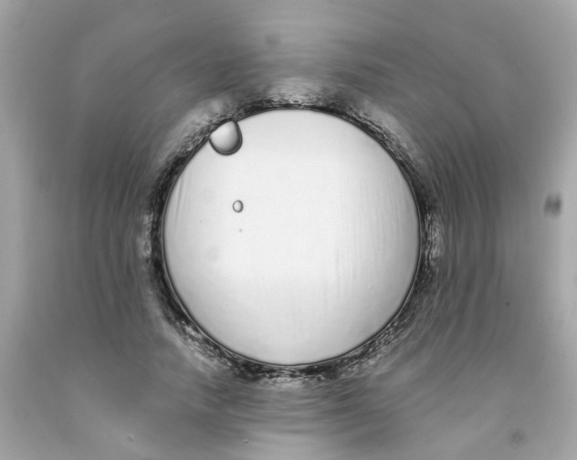 X0000091090738200709041302