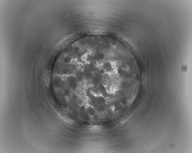X0000091090741200709041302