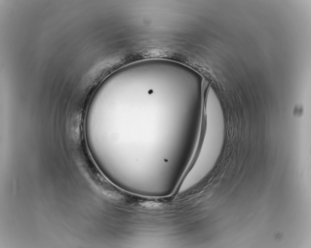 X0000091090742200709041302