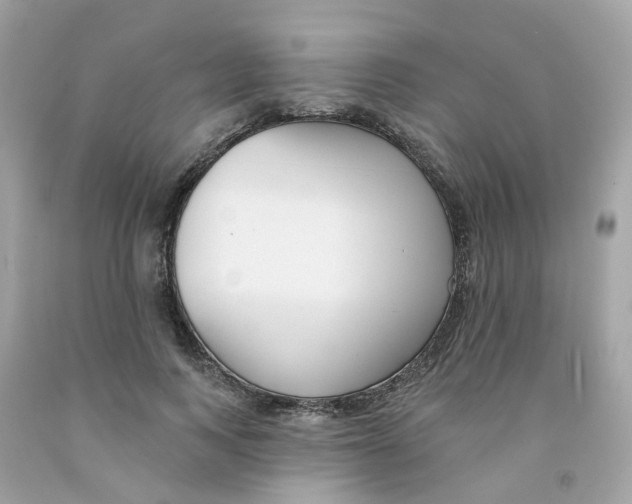 X0000091090743200709041302