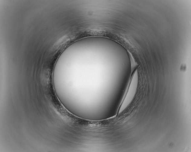 X0000091090744200709041302