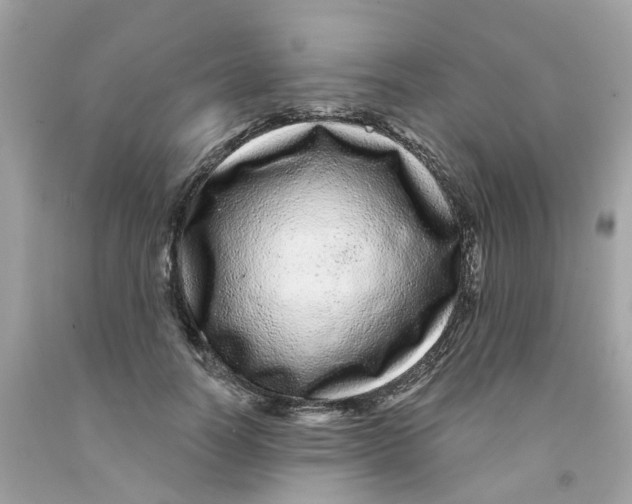 X0000091090746200709041302