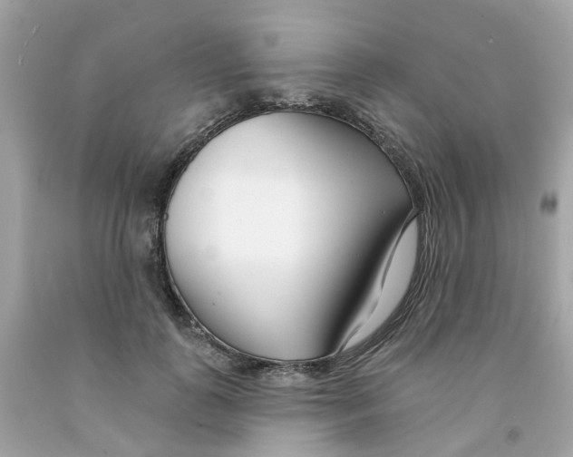 X0000091090747200709041302
