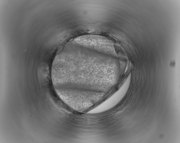 X0000091090748200709041302