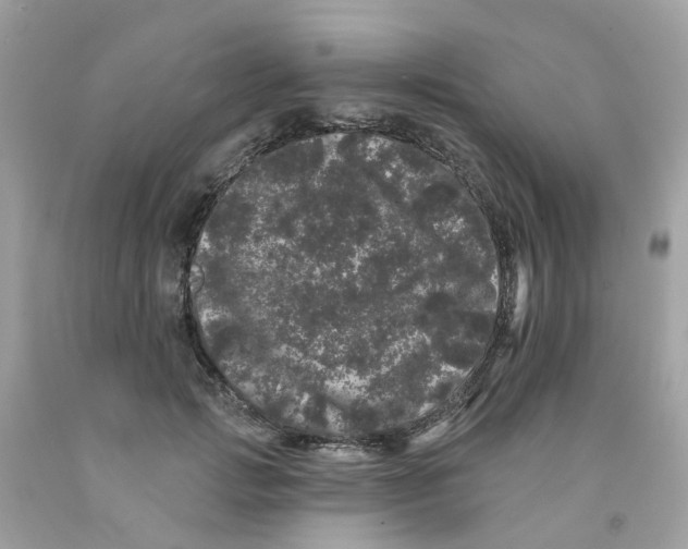 X0000091090749200709041302