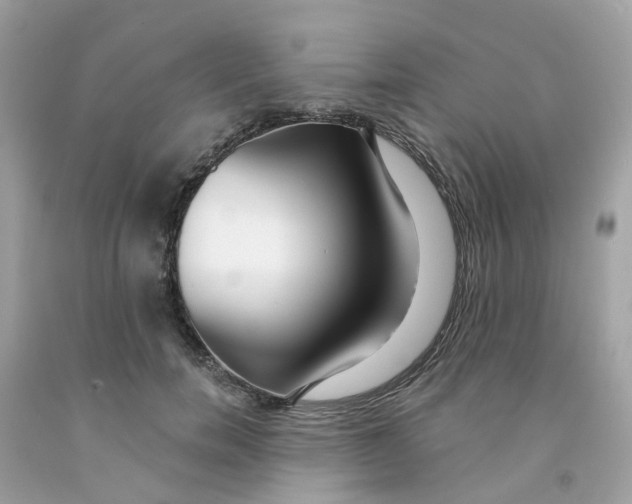X0000091090750200709041302