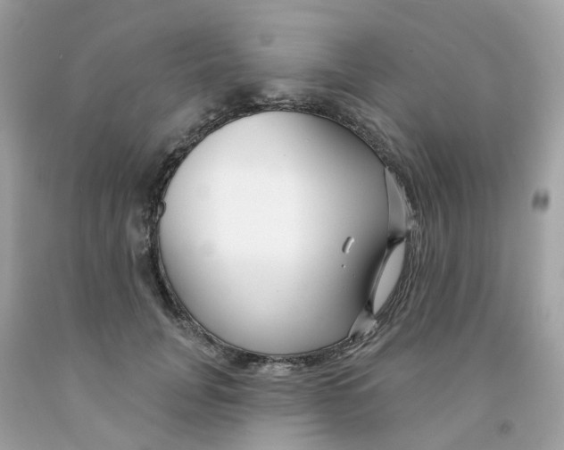 X0000091090751200709041302