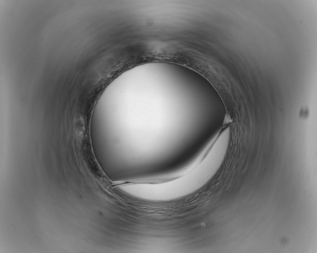 X0000091090752200709041302