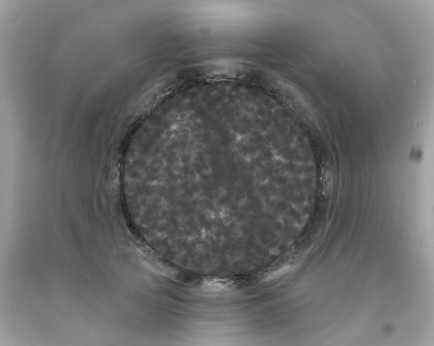X0000091090753200709041302