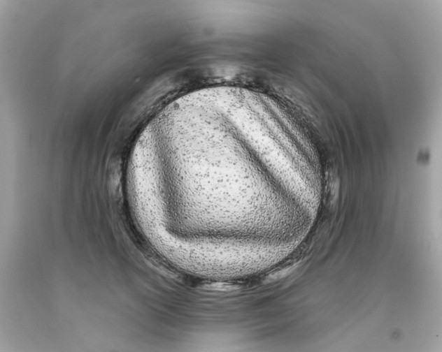 X0000091090754200709041302