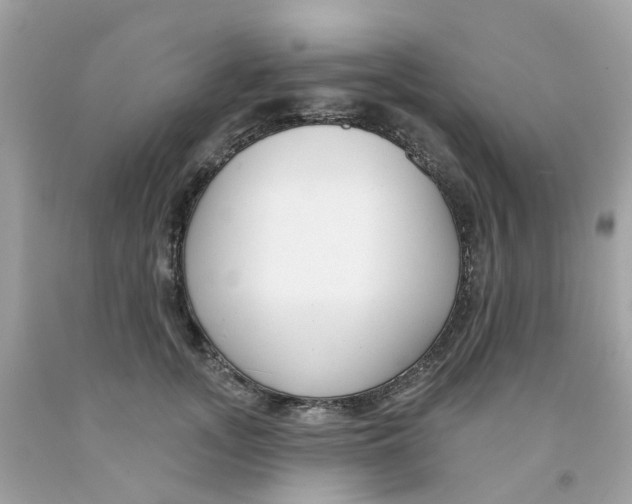 X0000091090755200709041302