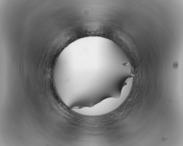 X0000091090756200709041302