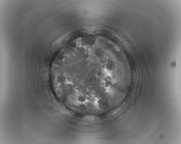 X0000091090757200709041302