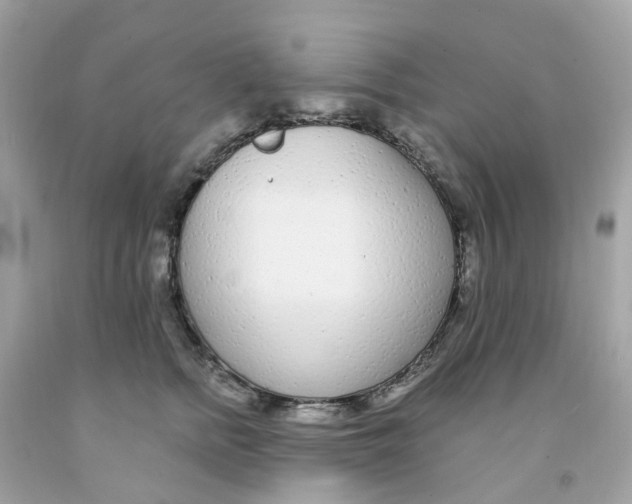 X0000091090758200709041302
