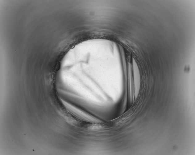X0000091090759200709041302