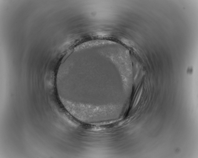 X0000091090760200709041302