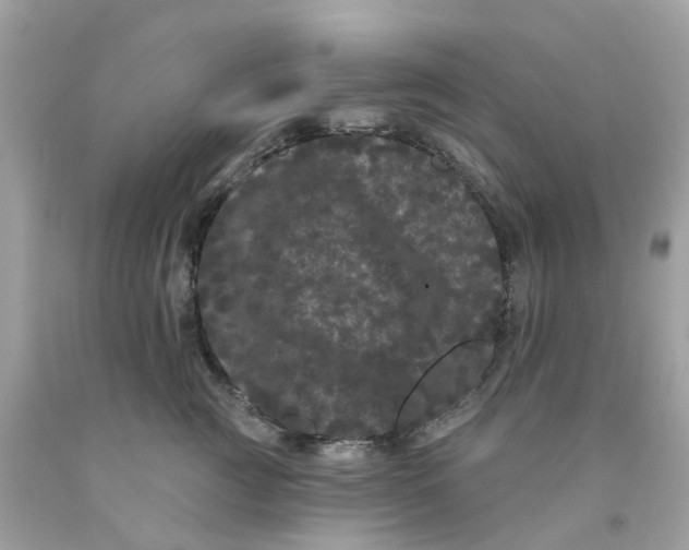 X0000091090761200709041302