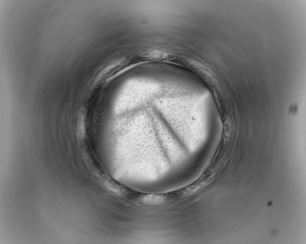 X0000091090762200709041302