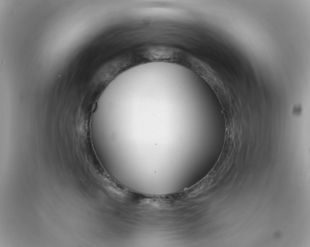 X0000091090763200709041302