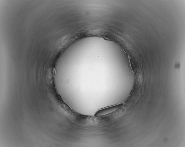 X0000091090764200709041302