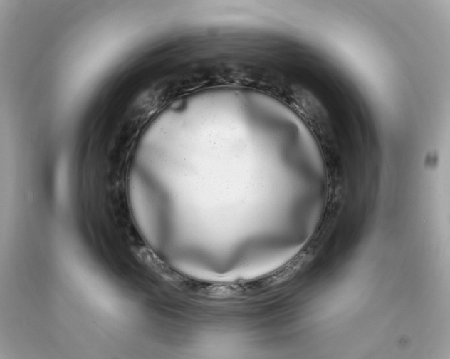 X0000091090765200709041302