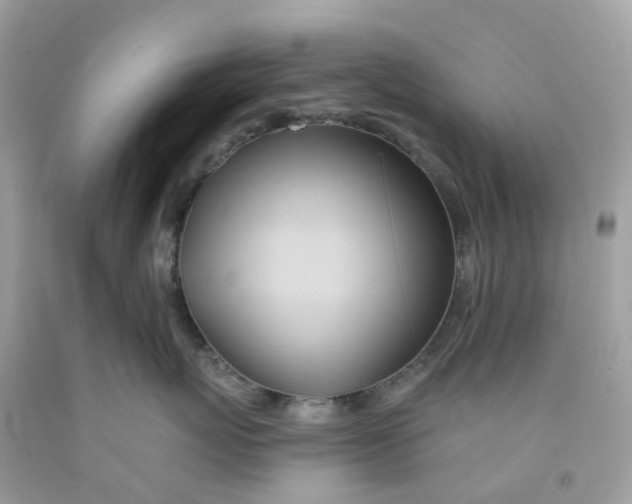 X0000091090767200709041302
