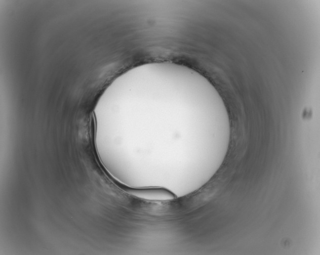 X0000091090768200709041302