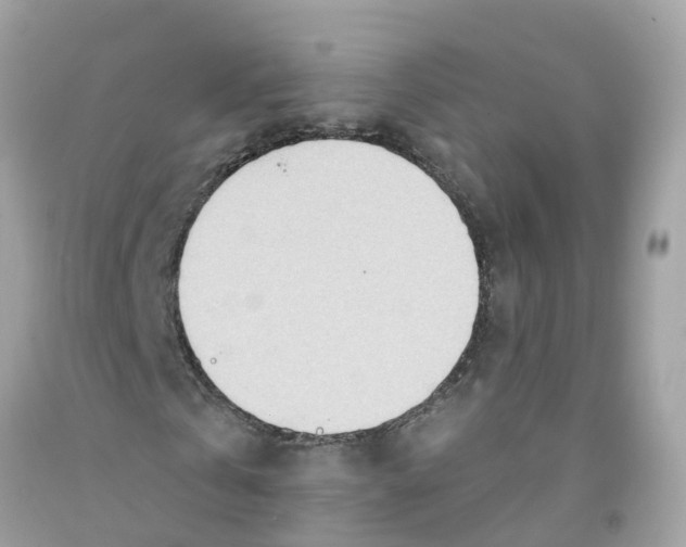 X0000091090769200709041301