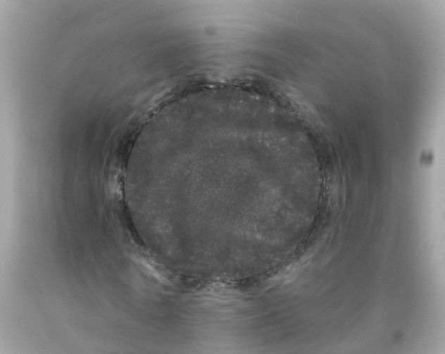 X0000091090770200709041301