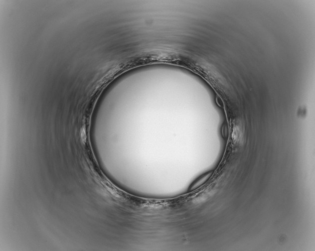 X0000091090771200709041301