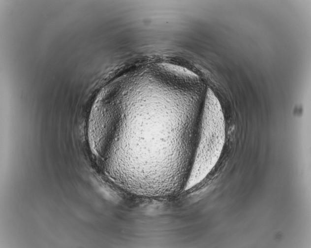 X0000091090772200709041301