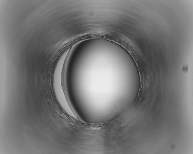 X0000091090773200709041301