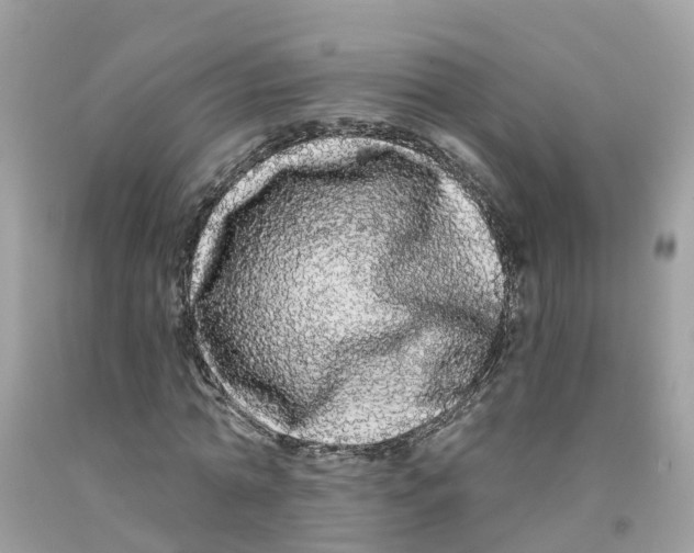 X0000091090774200709041301