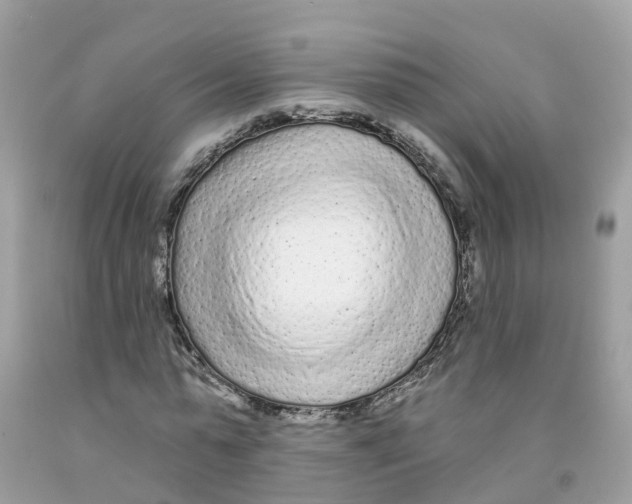 X0000091090775200709041301