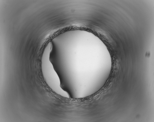 X0000091090776200709041301
