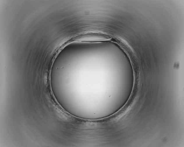 X0000091090777200709041301