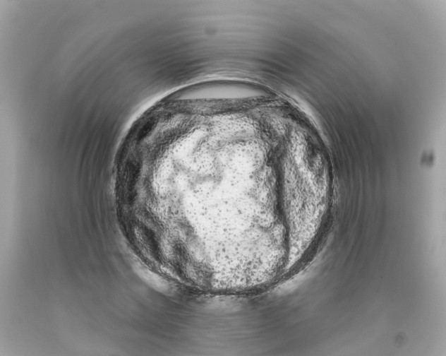 X0000091090779200709041301