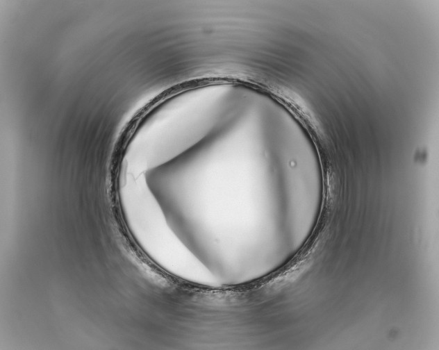 X0000091090780200709041301