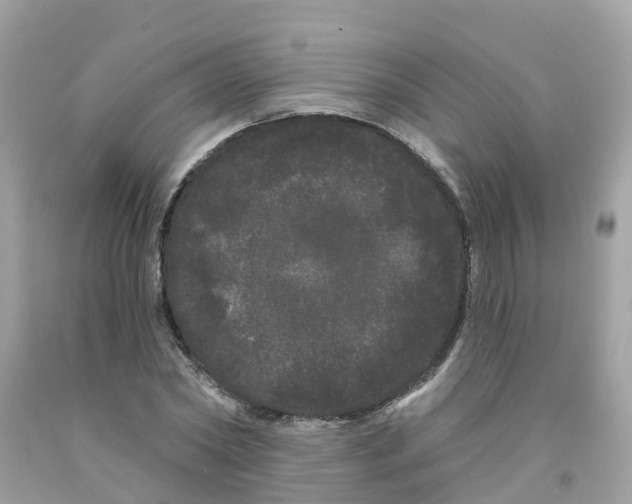 X0000091090782200709041301