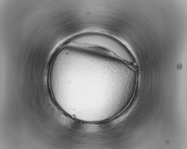 X0000091090783200709041301
