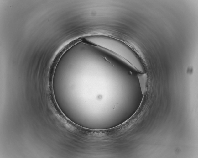 X0000091090784200709041301
