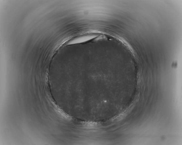 X0000091090785200709041301