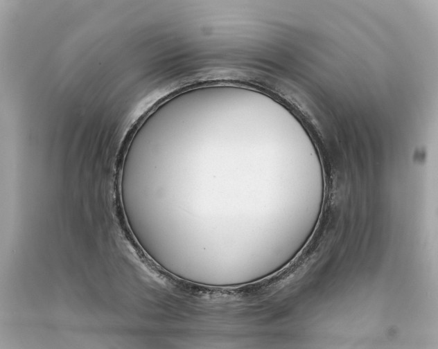 X0000091090786200709041301