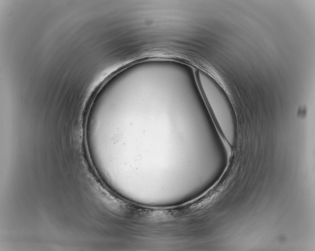 X0000091090787200709041301