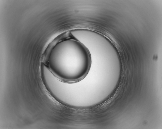 X0000091090788200709041301