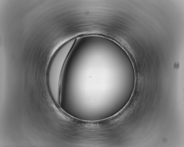 X0000091090789200709041301