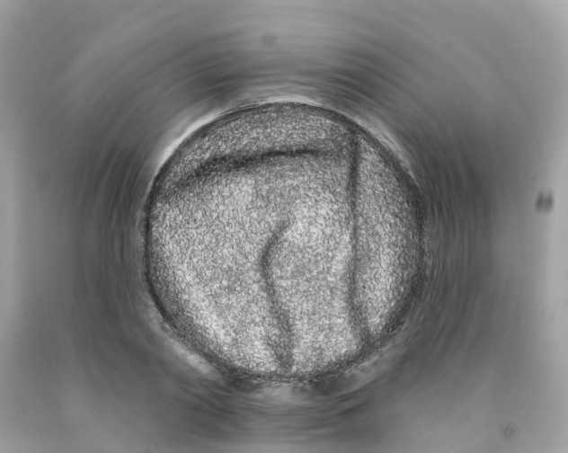 X0000091090790200709041301