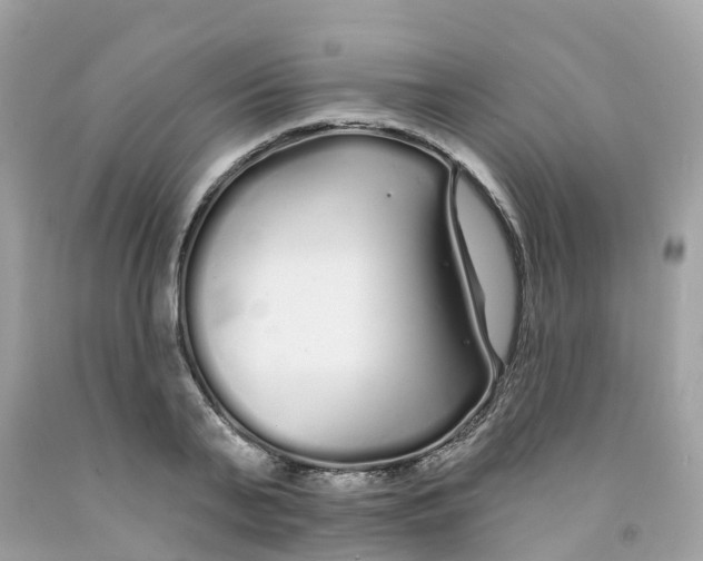 X0000091090791200709041301