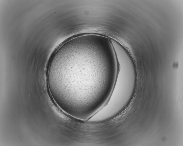 X0000091090792200709041301