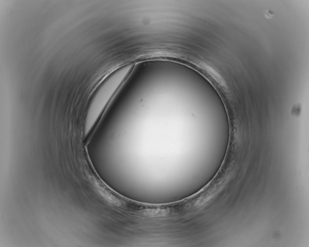X0000091090793200709041301